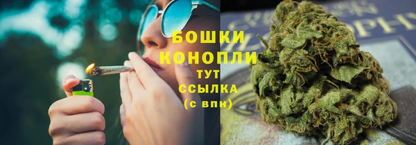 гидра Абаза