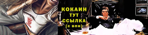 гидра Абаза