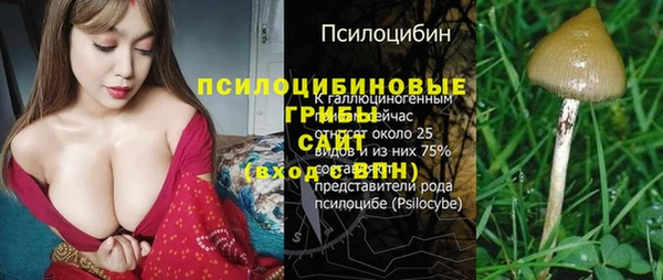 гидра Абаза